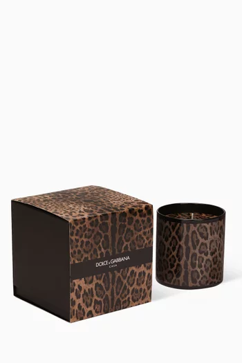 Patchouli Scented Porcelain Candle, 380g