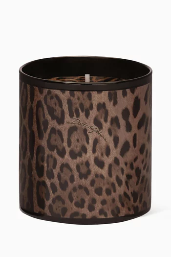 Patchouli Scented Porcelain Candle, 380g