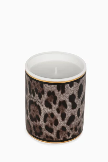 Patchouli Scented Candle in Porcelain, 340g