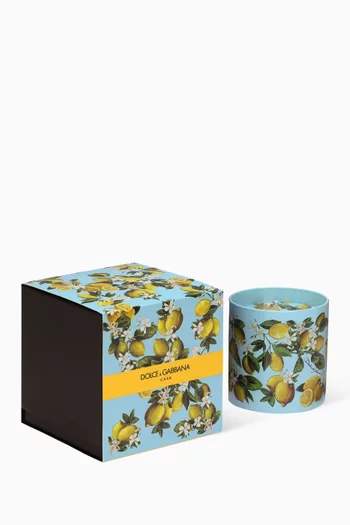 Lemon Porcelain Scented Candle, 380g