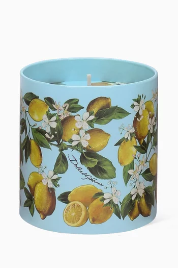 Lemon Porcelain Scented Candle, 380g