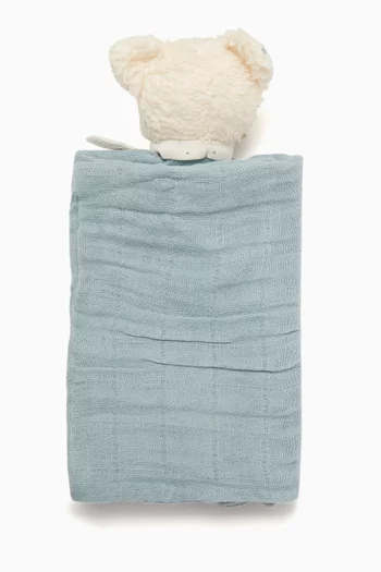 Cuddle Cloth Bear Toy in Organic Cotton