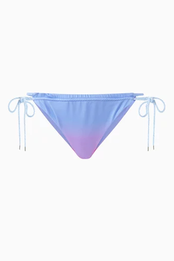 Lula Bikini Briefs in Lycra
