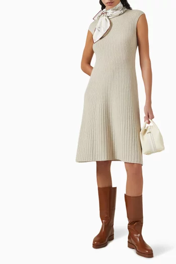 Cervatto Knitted Midi Dress in Baby Cashmere
