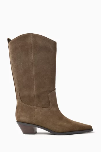 High Western Boots in Suede