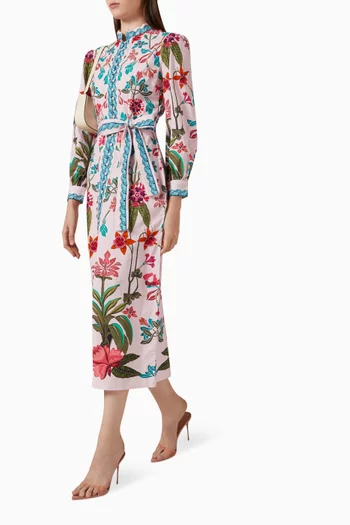 Belted Midi Dress in Cotton Cambric