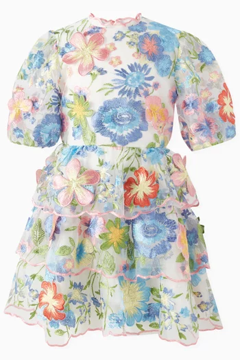 Laura Embroidered Mini Dress