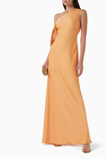 Zhuri Maxi Dress in Satin