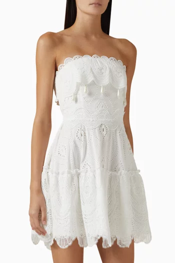 Amaral Embroidered Mini Dress in Cotton
