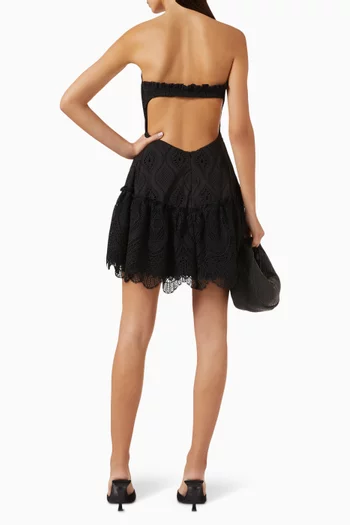 Amaral Embroidered Mini Dress in Cotton