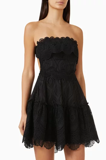 Amaral Embroidered Mini Dress in Cotton