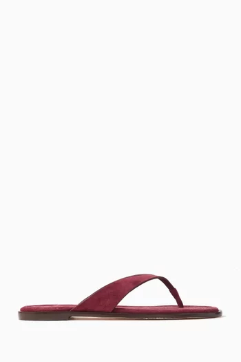 Jessie Thong Sandals in Suede