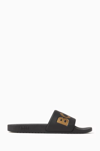 Aryeh Logo Slides in PVC
