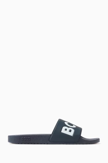 Aryeh Logo Slides in PVC
