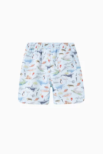 Marco Boardshorts
