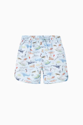 Marco Boardshorts