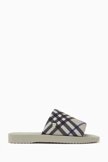 Check Slides in Canvas