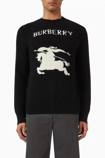 EKD Sweater in Cashmere & Wool