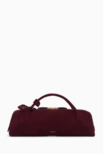 Le Teckel Clutch Bag in Suede