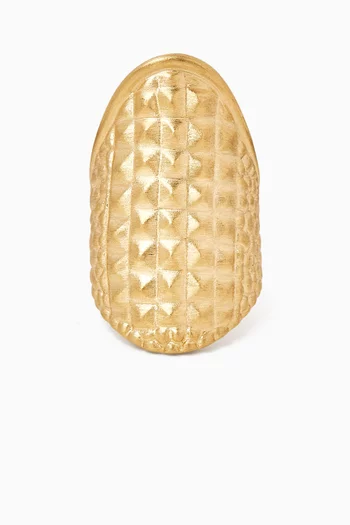 Brushed Ring in 18kt Gold
