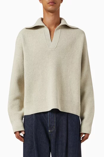 Nash Polo Sweater in Knit