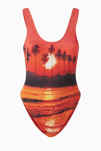 The Sunshine State Showtime One-piece Swimsuit