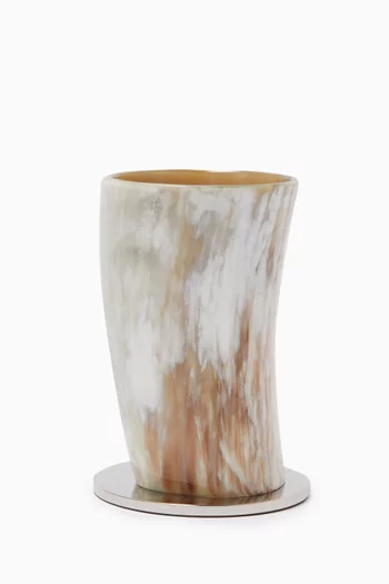 Container in Horn & Brass