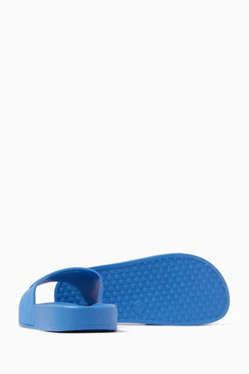 Logo Slides in PVC
