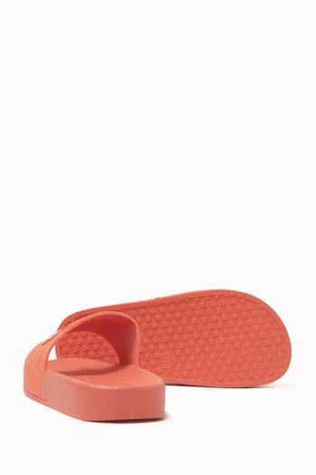 Logo Slides in PVC