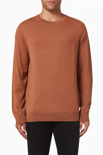 Crew neck Sweater in Merino Wool