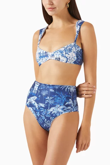 Alicia Reversible Bikini Briefs