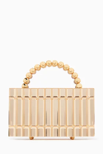 Deena Top handle Mirror Bag in Acrylic