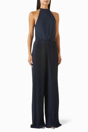 Exuma Pleated Jumpsuit in Plissé