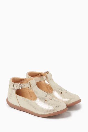 Salome Ballet Flats in Metallic Leather