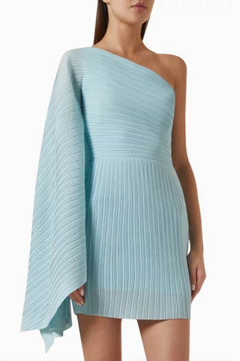 The Layne Mini Dress