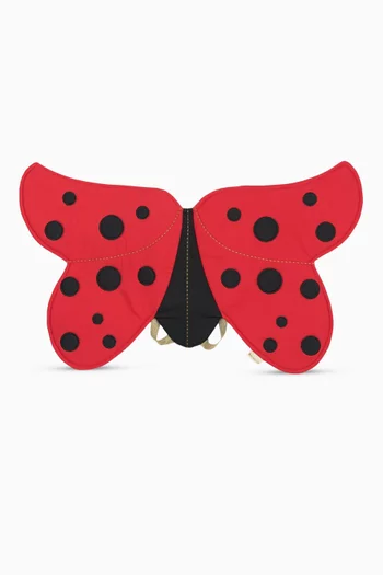 Dress Up Ladybug Wings