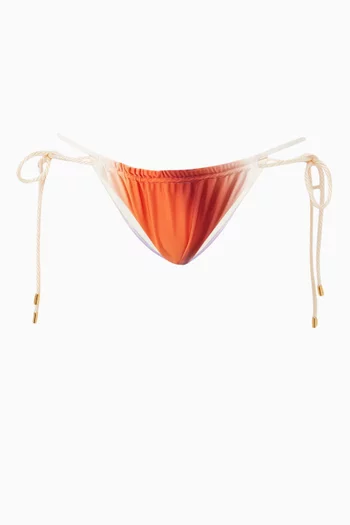 Lula Bikini Briefs in Lycra