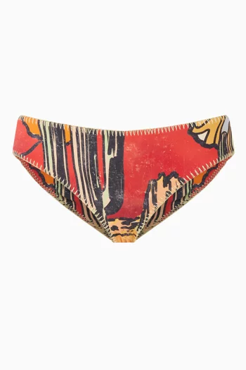 The Hipster Bikini Briefs