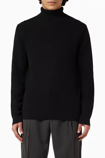 Turtleneck Sweater in Cotton