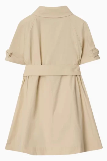 Chloe A-line Dress in Cotton