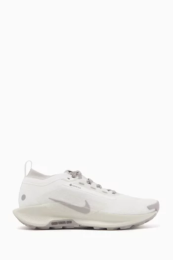 Pegasus Trail 5 Sneakers in GORE-TEX