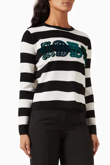 Viterbo Embroidered Sweater in Knit