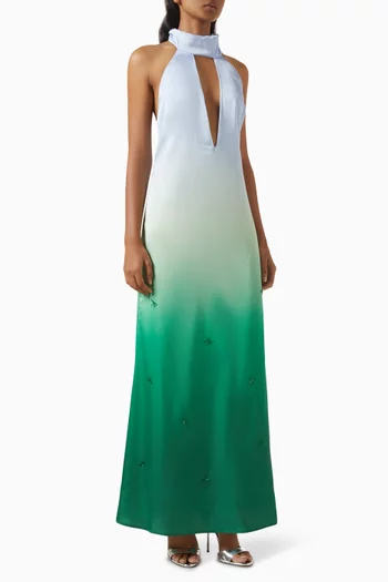 Magia Salvaje Maxi Dress