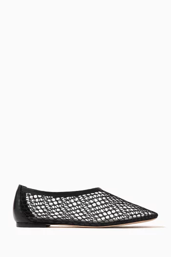 Britt Ballet Flats in Mesh