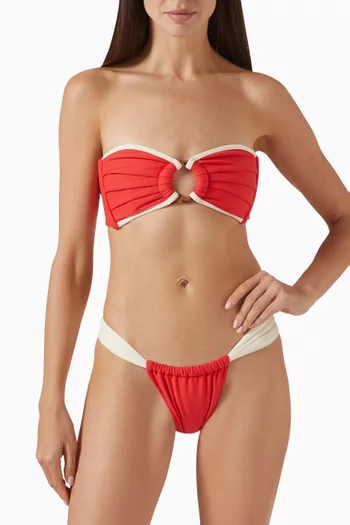 Sandra Bikini Briefs in Lycra