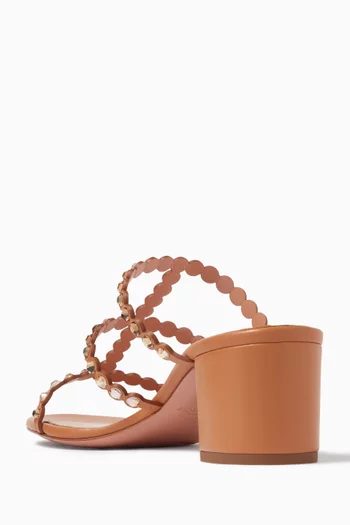 Tequila 50 Sandals in Leather