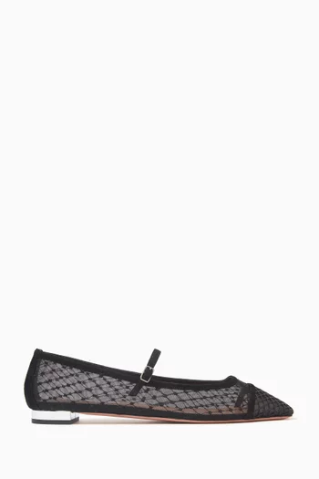 Juliette Embroidered Ballet Flats in Mesh