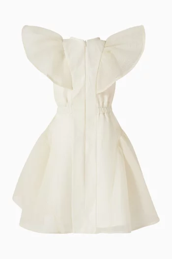 Ruffled A-line Dress in Tulle