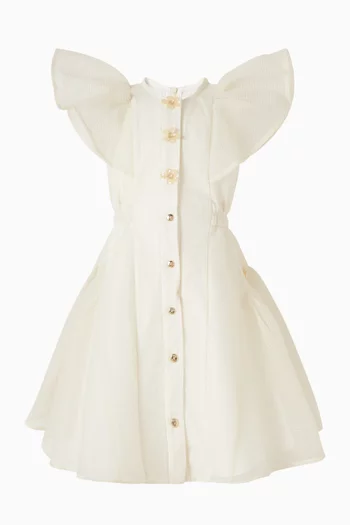 Ruffled A-line Dress in Tulle