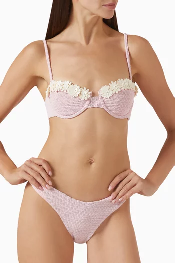 Gene Low-rise Bikini Briefs